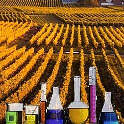 Agrochemicals