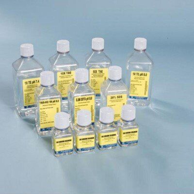 Electrophoresis Reagents Electrophoresis Reagents