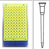 Pipet and Syringe Supplies