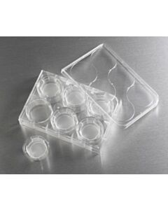 Corning Transwell Multiple Well Plate with Permeable Polyester Membrane; 07200171; 3452
