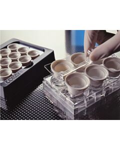 Corning Costar Netwell Carrier Kit, Non-Sterile; 07200224; 3521
