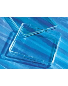 Corning TC-Treated Culture Dishes, Shape: Square, Culture Area: 500; 07200599; 431110