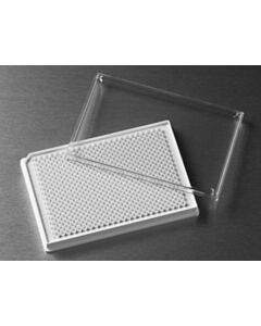 Corning 384-Well, Cell Culture-Treated, Flat-Bottom, Low Volume Microplate; 0720124; 3826