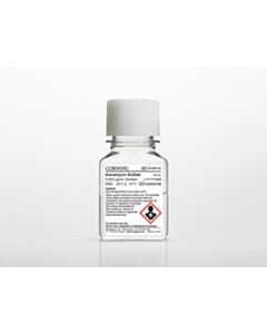 Corning 50 mL Kanamycin Sulfate, Liquid