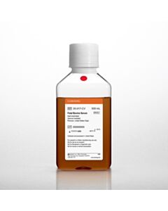 Corning Fetal Bovine Serum, Premium, USA HI GI 500