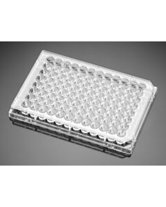 Corning® Falcon BioCoat™ Poly-L-Lysine 96 Well Clear TC-Treated Flat Bottom Microplate, with Lid, 5/Case