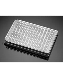 Corning Falcon BioCoat Poly-D-Lysine 96 Well Black/Clear Flat Bottom TC-Treated Assay Plate, with Lid, 5/Case