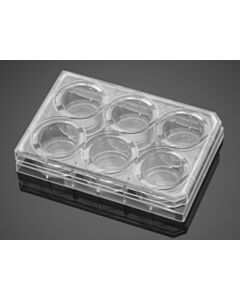 Corning® Falcon BioCoat™ Gelatin 6 Well Clear Flat Bottom TC-Treated Multiwell Plate, with Lid, 5/Case