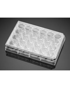 Corning® Falcon BioCoat™ Collagen I 24 Well Clear Flat Bottom TC-Treated Multiwell Plate with Lid, 5/Pack, 50/Case