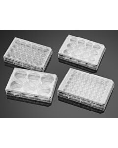 Corning® Falcon BioCoat™ Poly-D-Lysine 48 Well Clear Flat Bottom TC-Treated Multiwell Plate, with Lid, 5/Pack, 50/Case