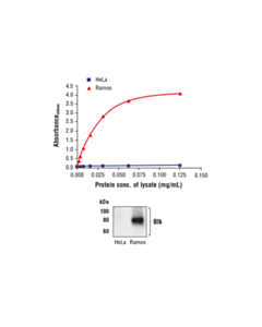 Cell Signaling Fastscan Total Btk Elisa Kit