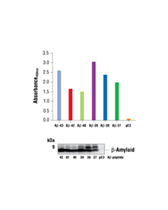 Cell Signaling Fastscan Beta-Amyloid ELISA Kit