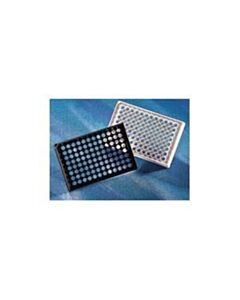 Corning 96 Well Clear With Flat Bottom Fibronectin Coated Polystyrene Microplate, With Lid, 100/Case