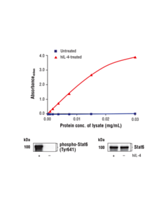 Cell Signaling Fastscan Phospho-Stat6 (Tyr641) Elisa Kit