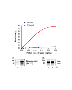 Cell Signaling Fastscan Phospho-Stat1 (Ser727) ELISA Kit