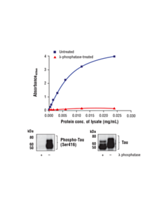 Cell Signaling Fastscan Phospho-Tau (Ser416) Elisa Kit