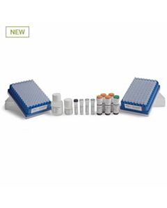 GlykoPrep Technology