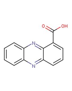 Astatech PHENAZINE-1-CARBOXYLIC ACID; 1G; Purity 95%; MDL-MFCD00185184