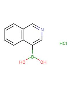 Astatech ISOQUINOLINE-4-BORONIC ACID HCL; 25G; Purity 95%; MDL-MFCD05664061