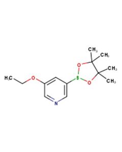 Astatech 5-ETHOXYPYRIDINE-3-BORONIC ACID PINACOL ESTER; 1G; Purity 96%; MDL-MFCD11878280