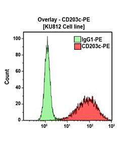 Beckman Cd206 (Mmr)-Rpe, 2ml, Asr