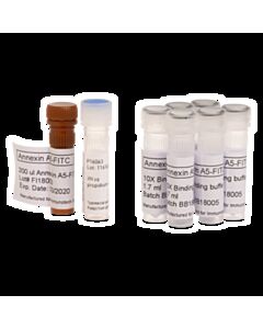 Beckman Annexin V Fitc Kit 200 Test, Ruo