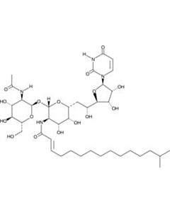 Cayman Tunicamycin 16:1 Mixture