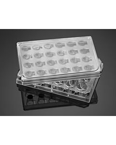 Falcon® 24-well Insert Systems, PET Membrane
