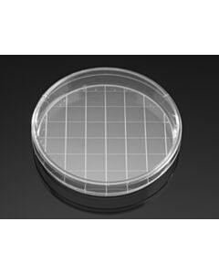 Corning Falcon 150 mm TC-treated Cell Culture Dish with 20 mm Grid, 10/Pack, 100/Case, Sterile
