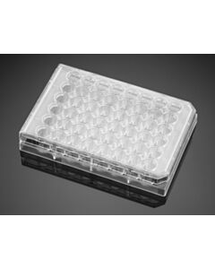 Corning Falcon 48-well Clear Flat Bottom TC-treated Cell Culture Plate, with Lid, Individually Wrapped, Sterile, 50/Case