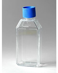 Corning Falcon 25 Sq cm Rectangular Canted Neck Cell Culture Flask With Vented Cap