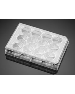 Corning Falcon 12-well Clear Flat Bottom TC-treated Multiwell Cell Culture Plate, with Lid, Sterile, 6/Pack, 36/Case