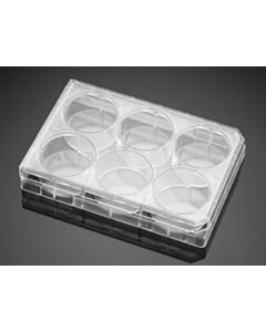 Corning Primaria 6-well Cell Clear Flat Bottom Surface-Modified Multiwell Culture Plate, with Lid, Sterile,50/Case