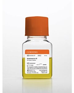 Corning 50 mL Amphotericin B, Liquid