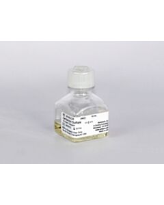Corning 10 mL Gentamicin Sulfate, Liquid