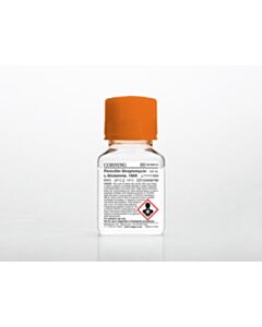 Corning 100 mL Penicillin-Streptomycin-L-Glutamine, 100x [+] 29.2 Mg/ mL L-Glutamine