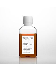 35-010-CV