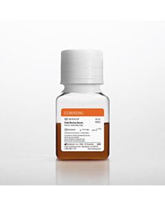 Corning Fetal Bovine Serum, 50 mL, Premium, United States Origin