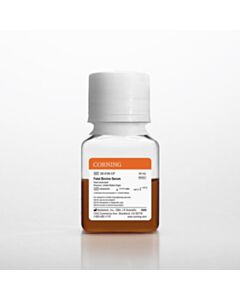 Corning Fetal Bovine Serum, 50 mL, Premium, United States Origin (Heat Inactivated)