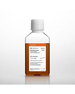 Corning Fetal Bovine Serum, 500 mL, Premium, United States Origin (Tetracycline Negative)