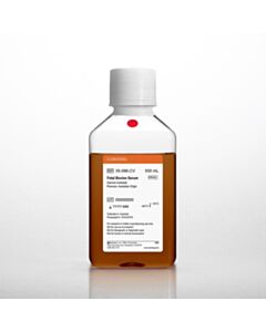 Corning Fetal Bovine Serum, 500 mL, Premium, Australian Origin (Gamma Irradiated)