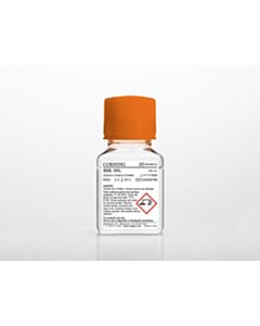 Corning 100 mL SDS (Sodium Dodecyl Sulfate)