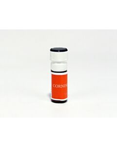 Corning 1 G Iptg (Isopropylthiogalactoside), Powder