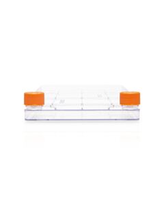 CORNING_3268_HR.jpg