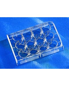 Corning CellBIND® 12-well Clear Multiple Well Plates Flat Bottom