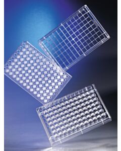 Corning HTS Transwell®-96 Permeable Support with 10 µm Pore Polyester