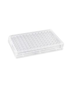 Corning HTS Transwell®-96 Permeable Support with 80 µm Pore Polyester
