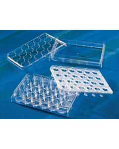 Corning HTS Transwell®-24-well Permeable Support with 04 µm Pore