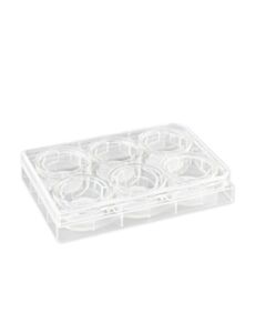 Corning 24 mm Transwell® with 04 µm Pore Polycarbonate Membrane