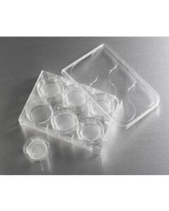 CORNING_3413_HR.jpg